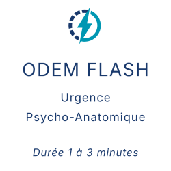 Bloque ODEM Flash web 1